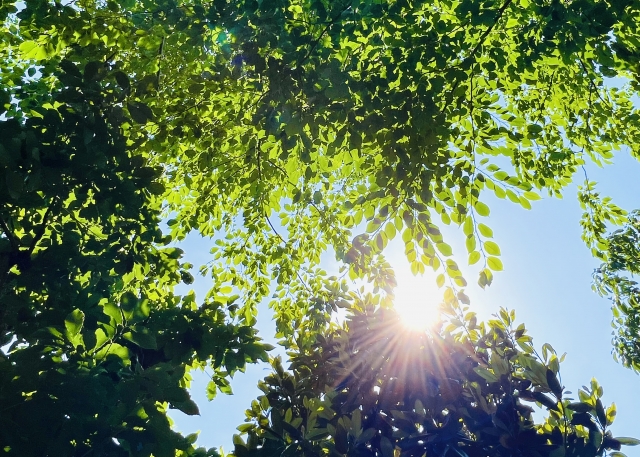 知っておこう！初夏からの日焼け対策